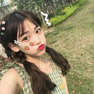 驯鹰者的崛起